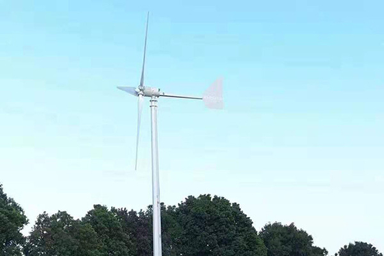 1KW 48Vの横の軸線の風力発電機の住宅の横の軸線の風力の植物
